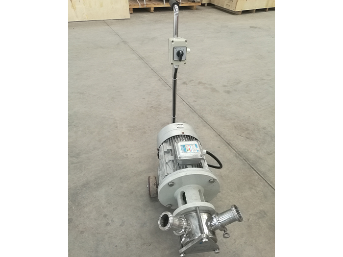 20噸轉(zhuǎn)子泵